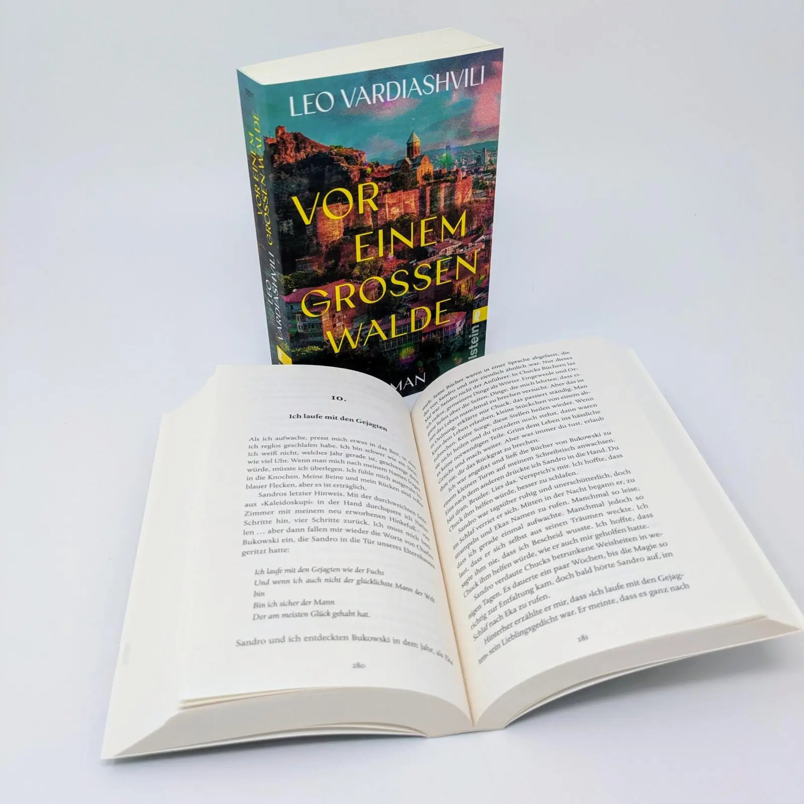 Bild: 9783548070117 | Vor einem großen Walde | Leo Vardiashvili | Taschenbuch | 464 S.