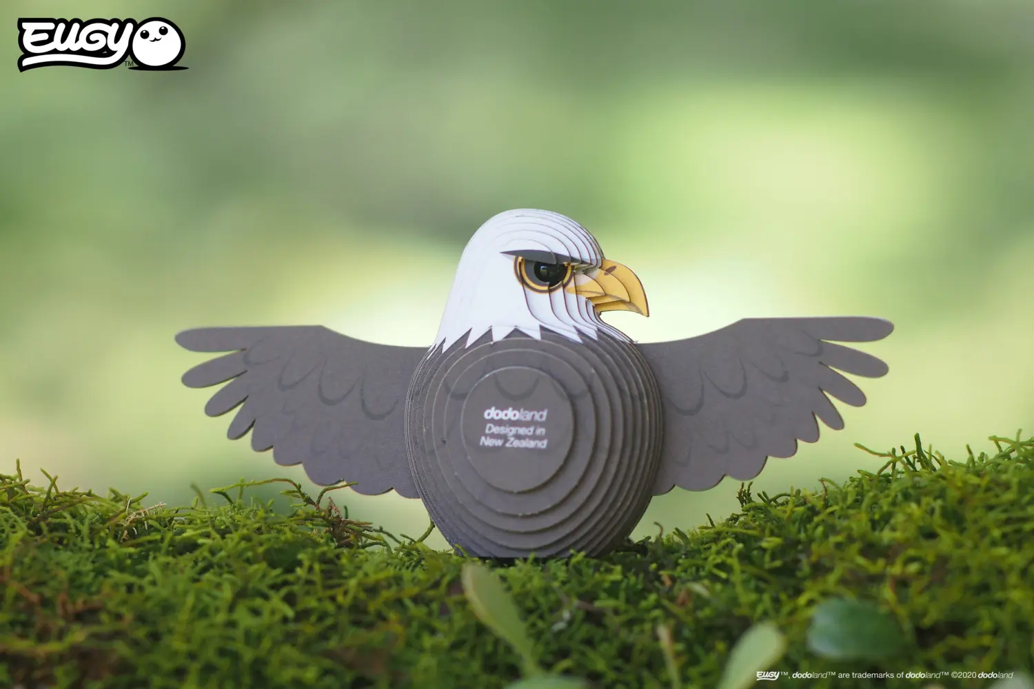 Bild: 9421035150217 | EUGY - 3D Bastelset Weisskopfseeadler | Kit (Bastelset) | In Karton