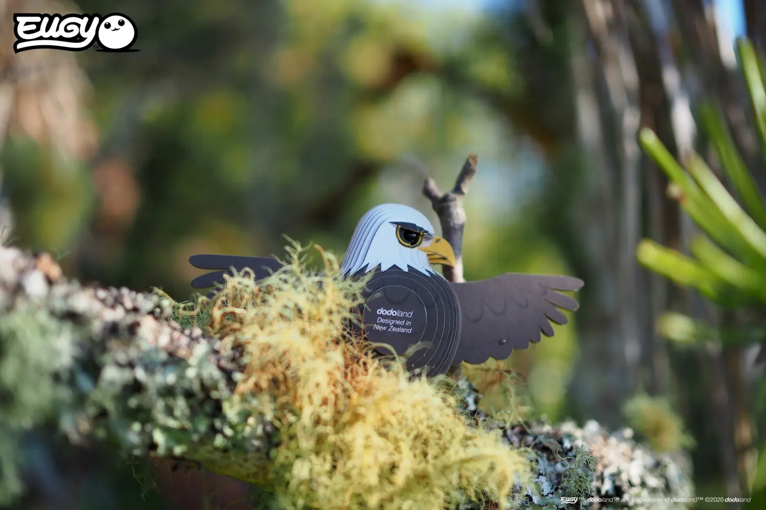Bild: 9421035150217 | EUGY - 3D Bastelset Weisskopfseeadler | Kit (Bastelset) | In Karton