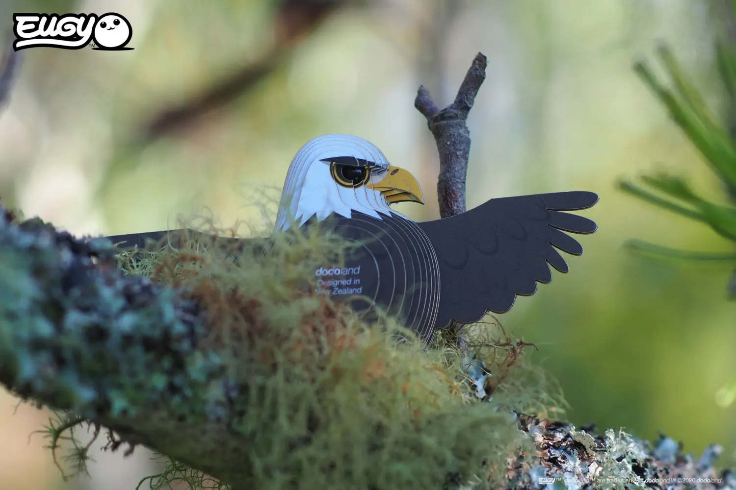 Bild: 9421035150217 | EUGY - 3D Bastelset Weisskopfseeadler | Kit (Bastelset) | In Karton