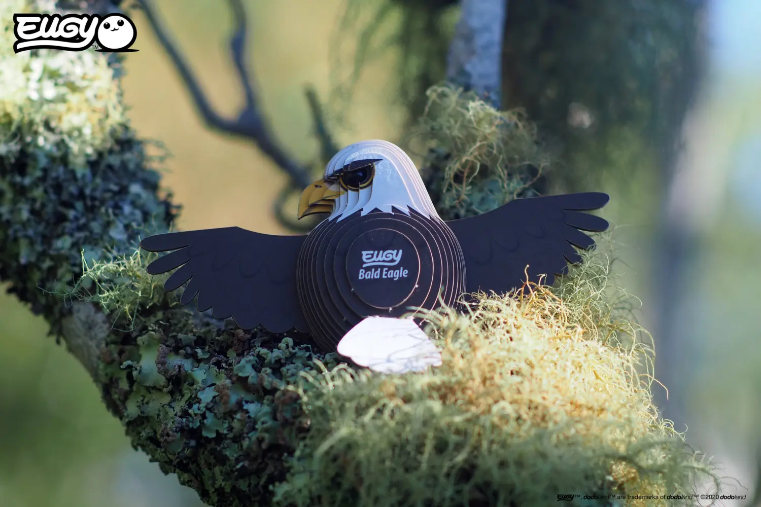 Bild: 9421035150217 | EUGY - 3D Bastelset Weisskopfseeadler | Kit (Bastelset) | In Karton