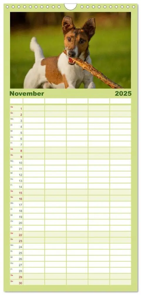 Bild: 9783457120217 | Familienplaner 2025 - Faszination Hund mit 5 Spalten (Wandkalender,...