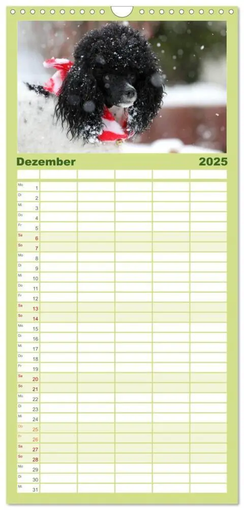 Bild: 9783457120217 | Familienplaner 2025 - Faszination Hund mit 5 Spalten (Wandkalender,...