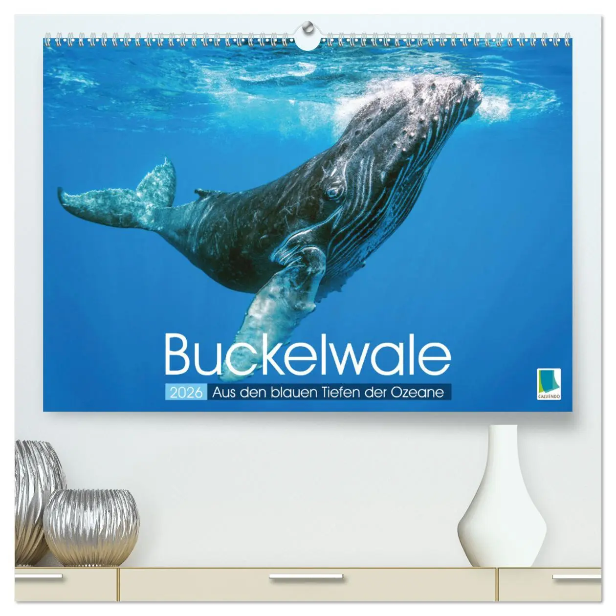 Cover: 9783457290217 | Buckelwale: Aus den blauen Tiefen der Ozeane (hochwertiger Premium...