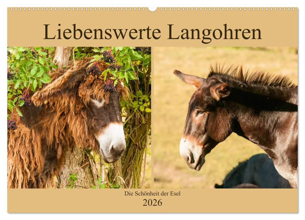 Cover: 9783457810217 | Liebenswerte Langohren - Die Schönheit der Esel (Wandkalender 2026...