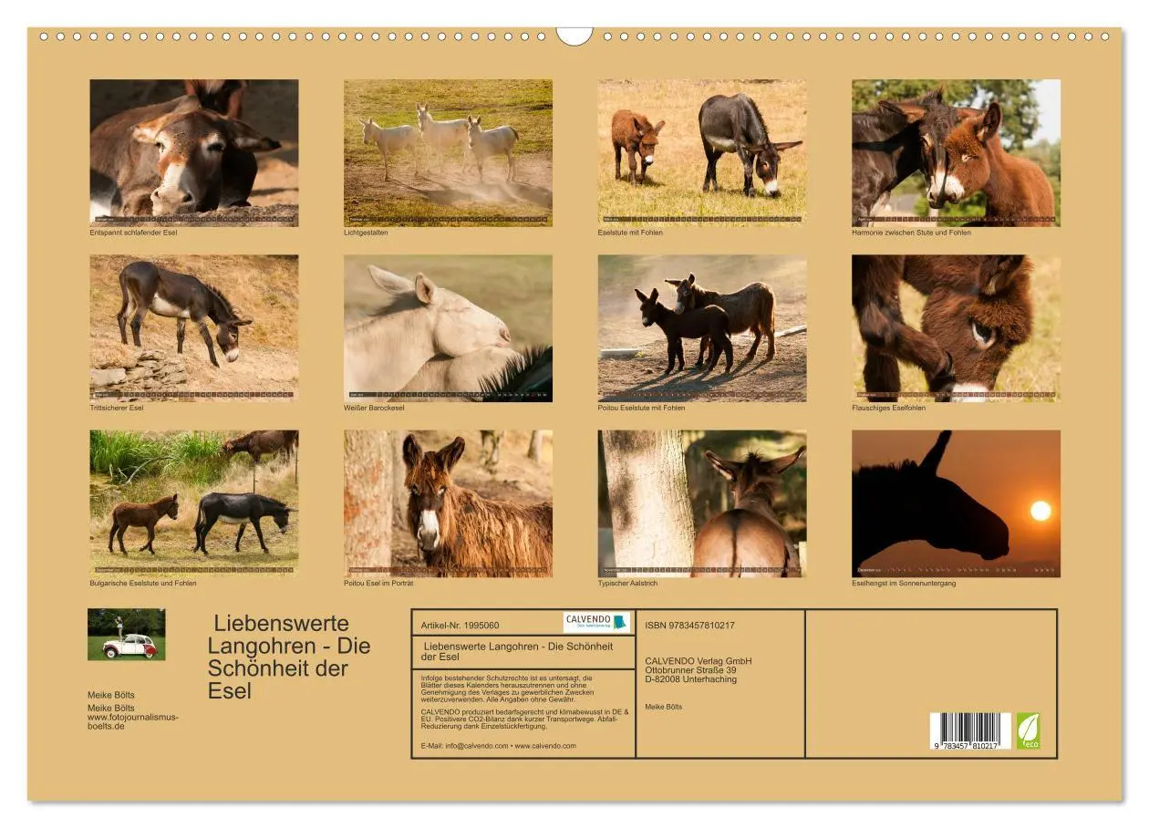 Bild: 9783457810217 | Liebenswerte Langohren - Die Schönheit der Esel (Wandkalender 2026...