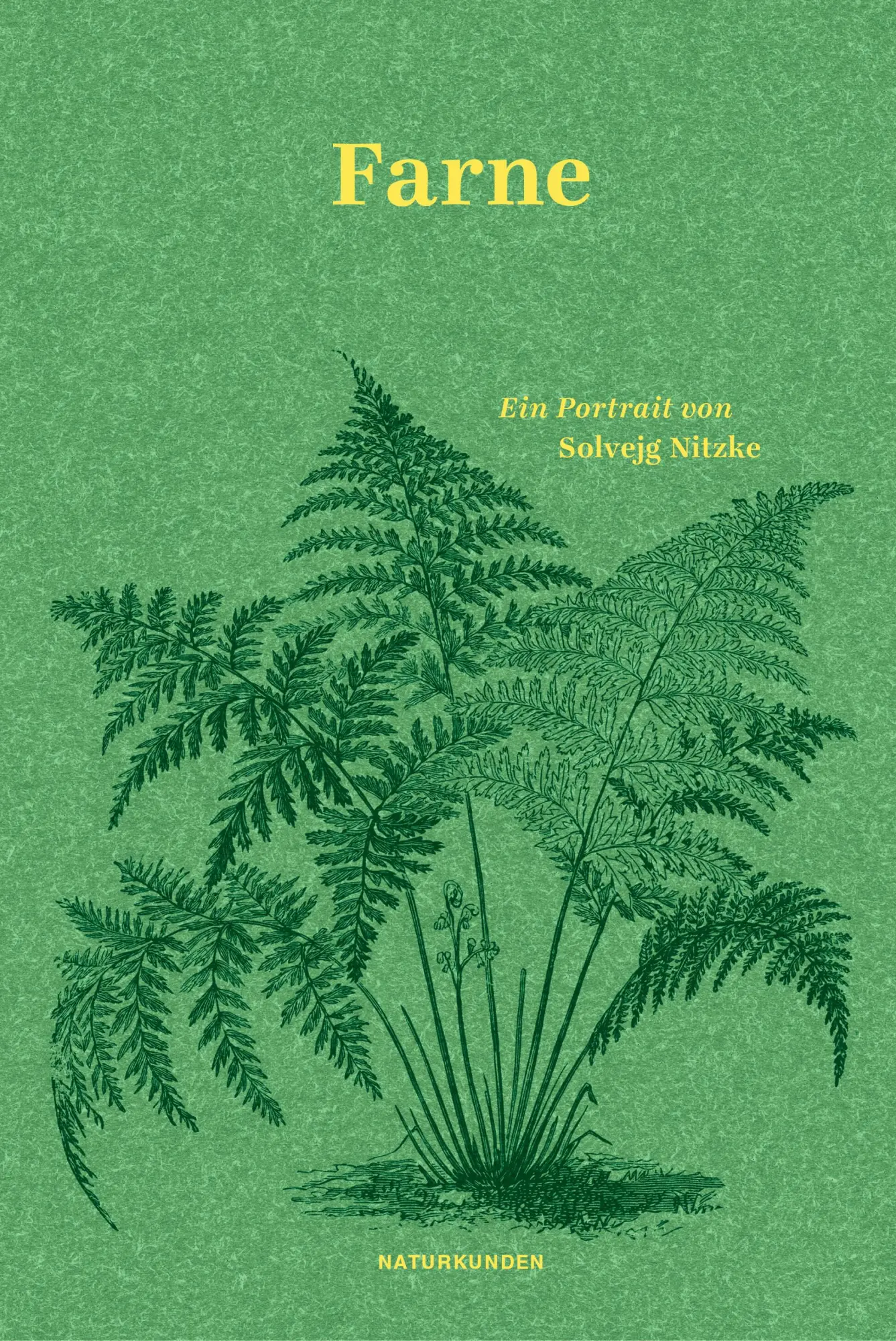 Cover: 9783751840217 | Farne | Ein Portrait | Solvejg Nitzke | Buch | Naturkunden | 143 S.