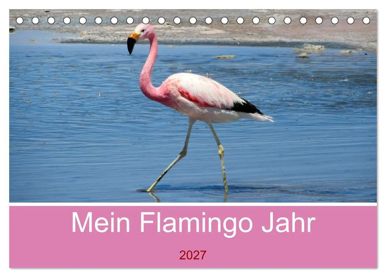 Cover: 9783569530317 | Mein Flamingo Jahr (Tischkalender 2027 DIN A5 quer), CALVENDO...