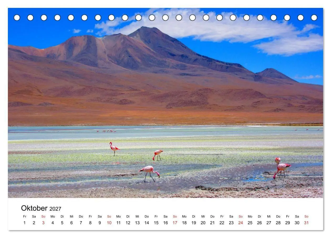 Bild: 9783569530317 | Mein Flamingo Jahr (Tischkalender 2027 DIN A5 quer), CALVENDO...