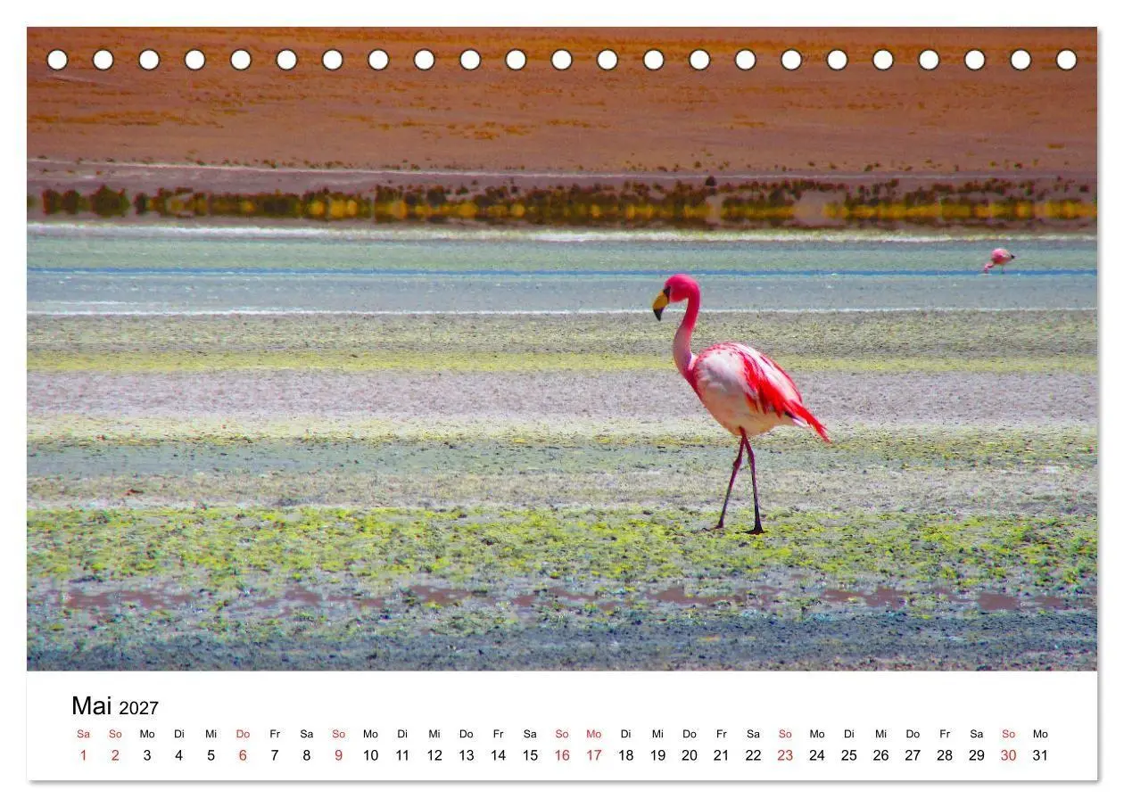 Bild: 9783569530317 | Mein Flamingo Jahr (Tischkalender 2027 DIN A5 quer), CALVENDO...