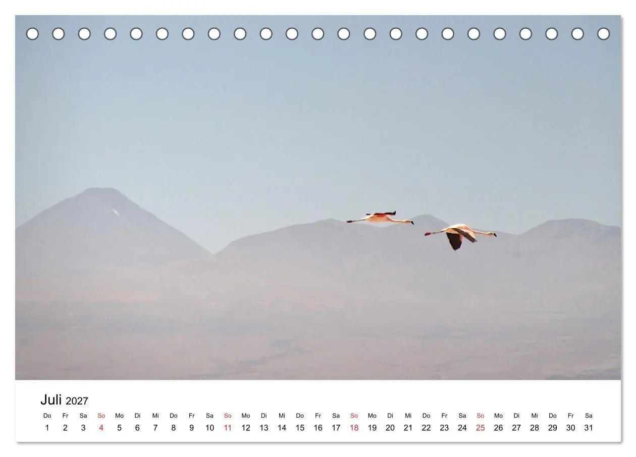 Bild: 9783569530317 | Mein Flamingo Jahr (Tischkalender 2027 DIN A5 quer), CALVENDO...