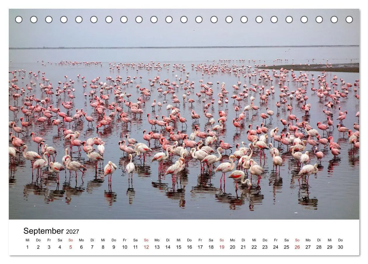 Bild: 9783569530317 | Mein Flamingo Jahr (Tischkalender 2027 DIN A5 quer), CALVENDO...