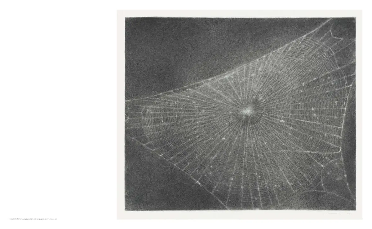 Bild: 9783775760317 | Vija Celmins | Theodora Vischer (u. a.) | Buch | 208 S. | Englisch