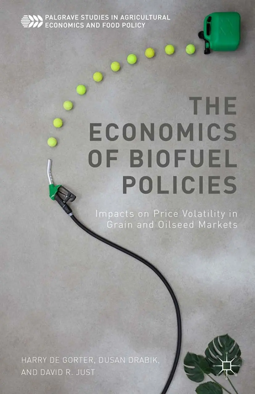 Cover: 9781349490417 | The Economics of Biofuel Policies | Harry De Gorter (u. a.) | Buch