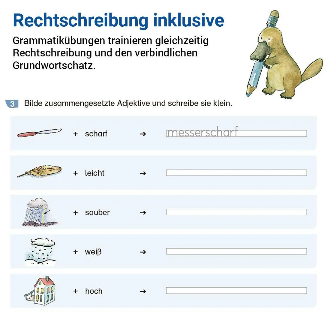 Bild: 9783619320417 | Grammatik mit Rico Schnabel, Klasse 3 | Stefanie Drecktrah (u. a.)