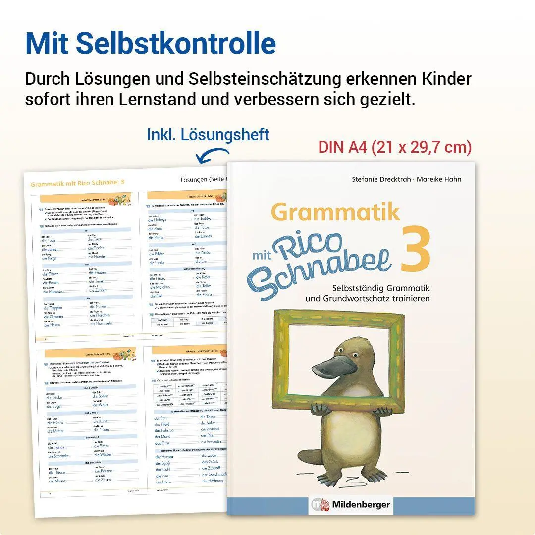 Bild: 9783619320417 | Grammatik mit Rico Schnabel, Klasse 3 | Stefanie Drecktrah (u. a.)