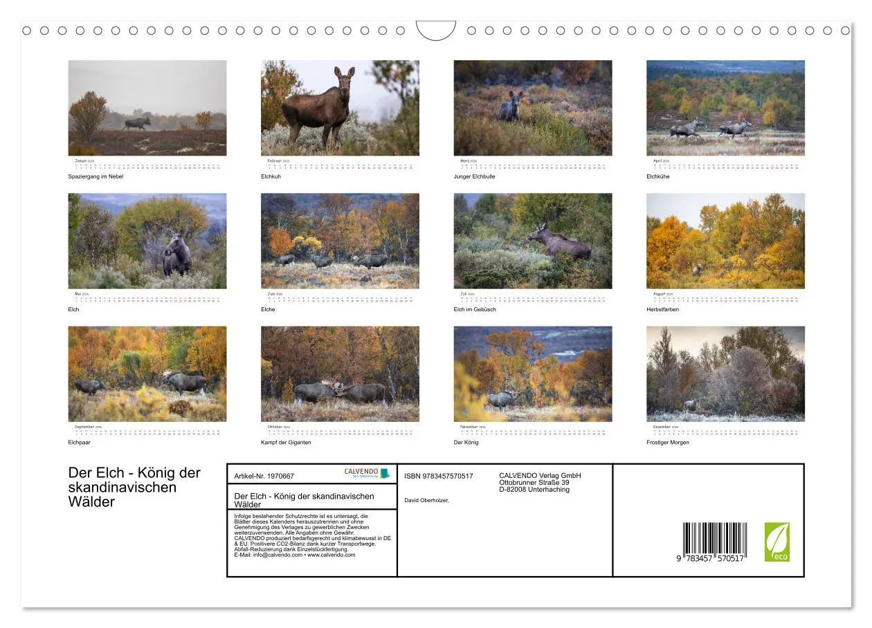 Bild: 9783457570517 | Der Elch - König der skandinavischen Wälder (Wandkalender 2026 DIN...