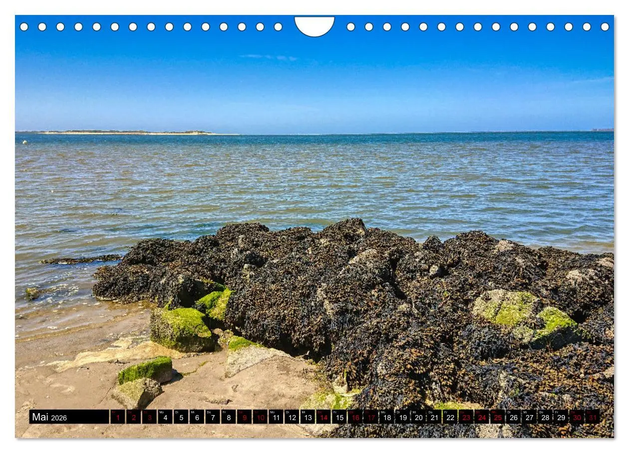 Bild: 9783457640517 | Föhr... liebt in eine Insel (Wandkalender 2026 DIN A4 quer),...