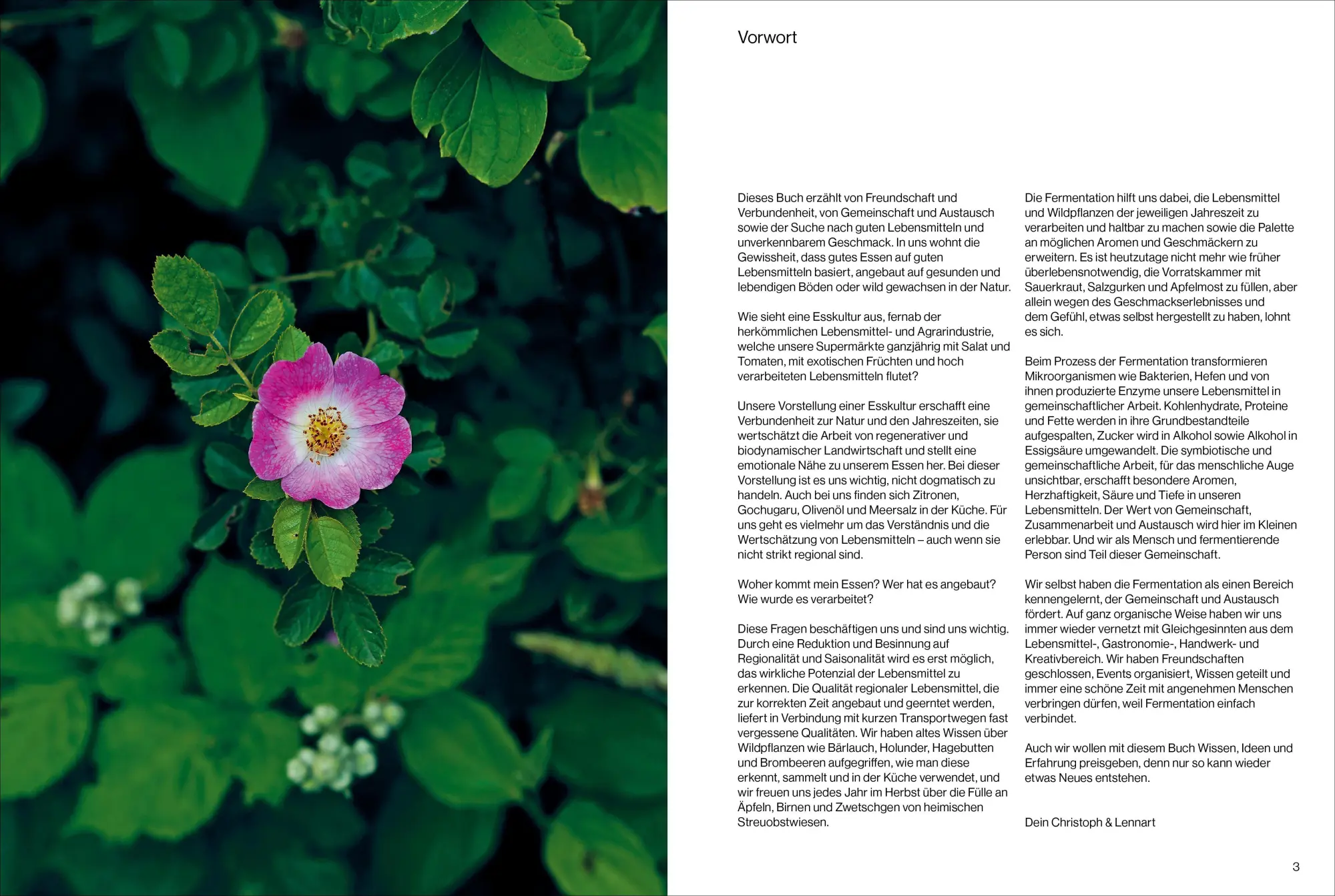 Bild: 9783989510517 | Fermentiert | Christoph Marx (u. a.) | Buch | 224 S. | Deutsch | 2025