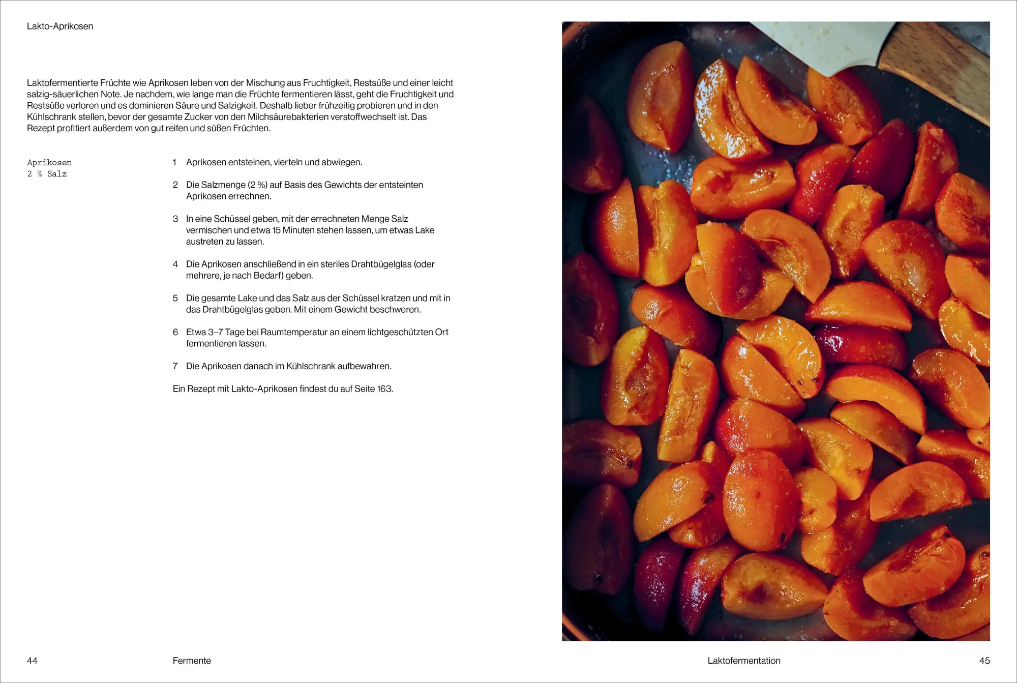 Bild: 9783989510517 | Fermentiert | Christoph Marx (u. a.) | Buch | 224 S. | Deutsch | 2025