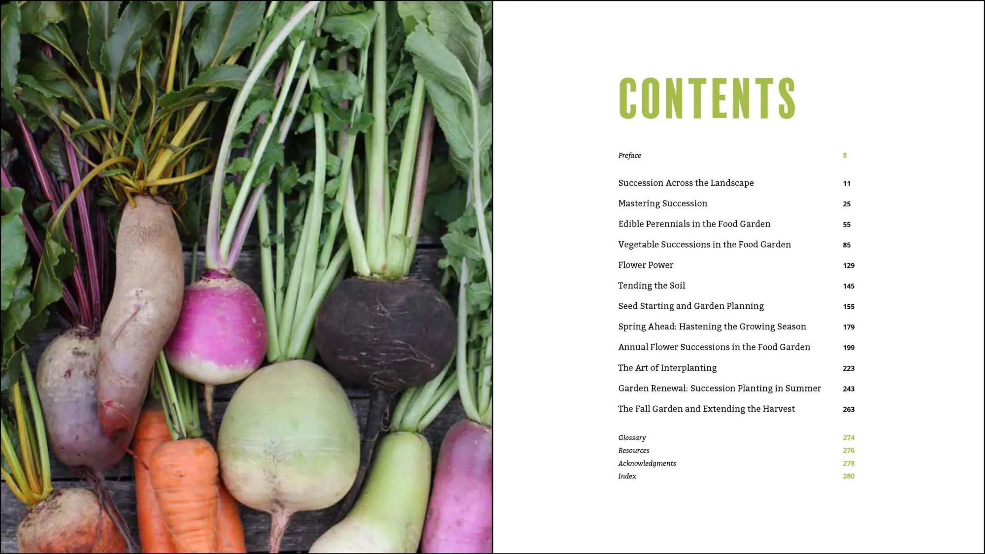 Bild: 9781643260617 | Plant Grow Harvest Repeat | Meg McAndrews Cowden | Taschenbuch | 2022