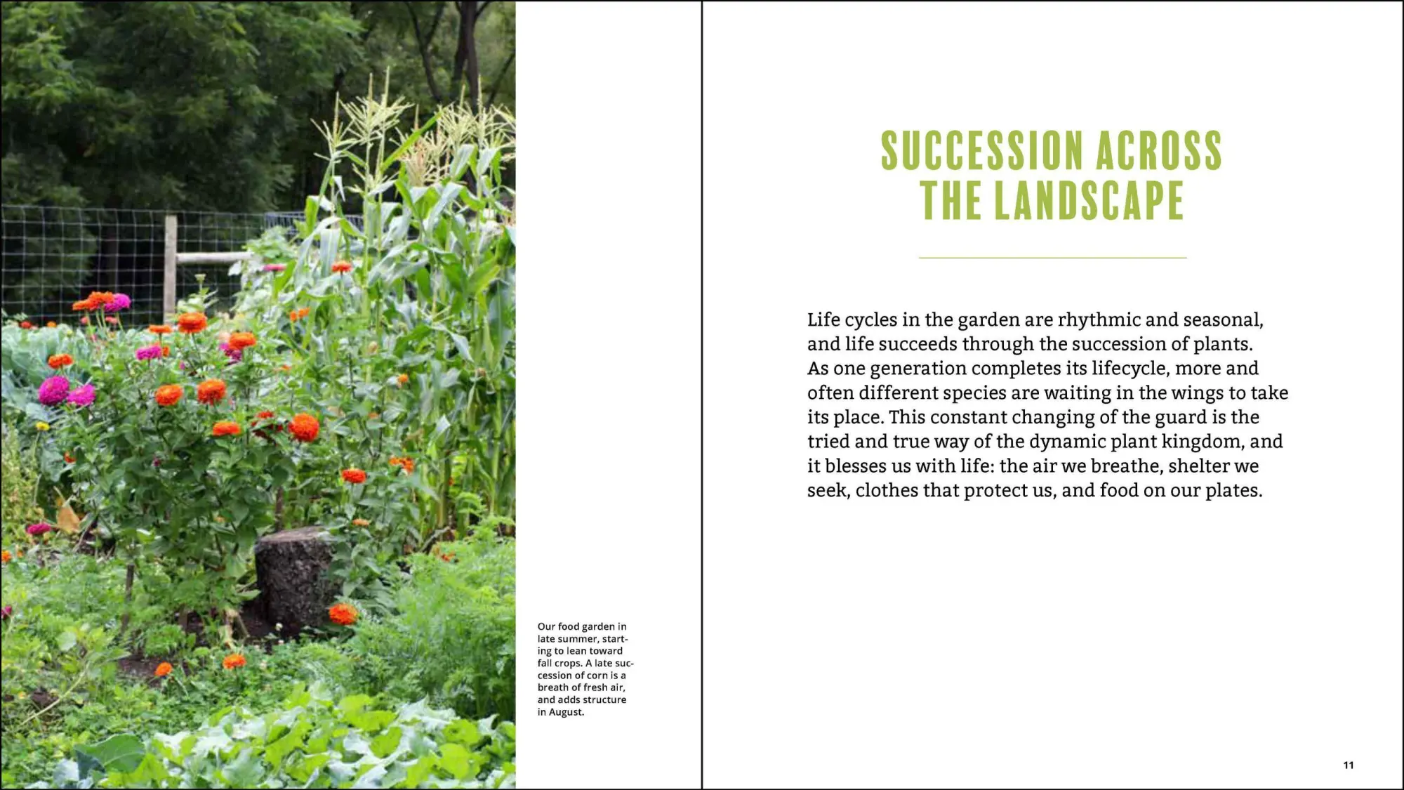Bild: 9781643260617 | Plant Grow Harvest Repeat | Meg McAndrews Cowden | Taschenbuch | 2022