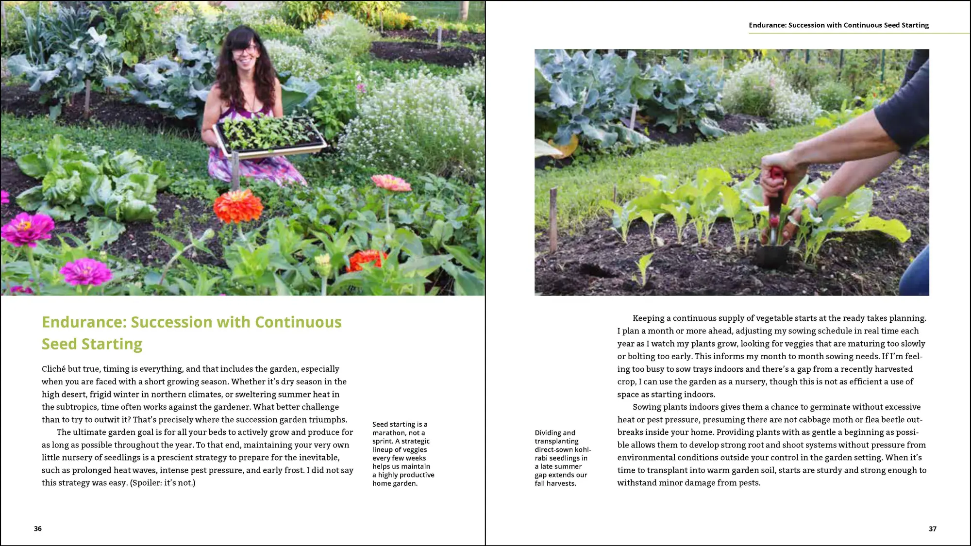 Bild: 9781643260617 | Plant Grow Harvest Repeat | Meg McAndrews Cowden | Taschenbuch | 2022