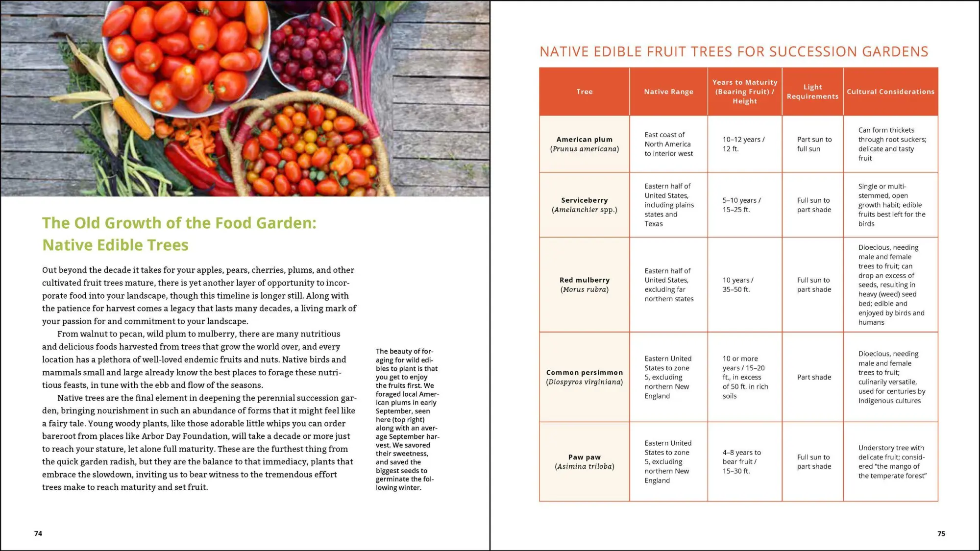 Bild: 9781643260617 | Plant Grow Harvest Repeat | Meg McAndrews Cowden | Taschenbuch | 2022