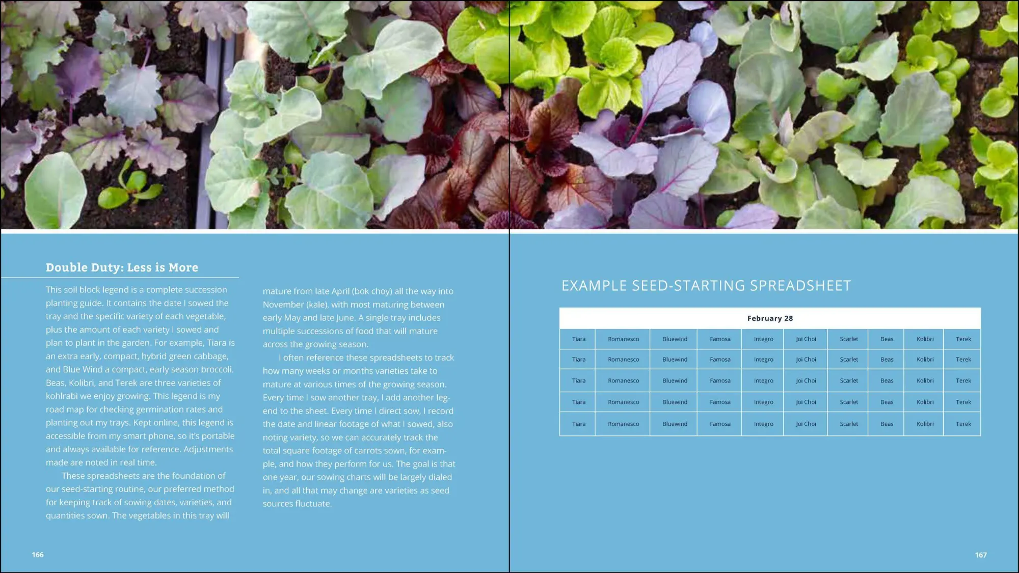 Bild: 9781643260617 | Plant Grow Harvest Repeat | Meg McAndrews Cowden | Taschenbuch | 2022