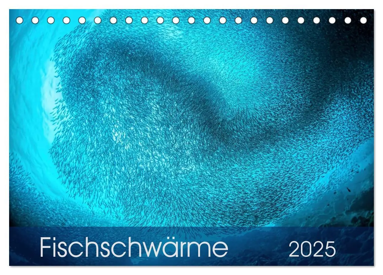 Cover: 9783435610617 | Fischschwärme (Tischkalender 2025 DIN A5 quer), CALVENDO...