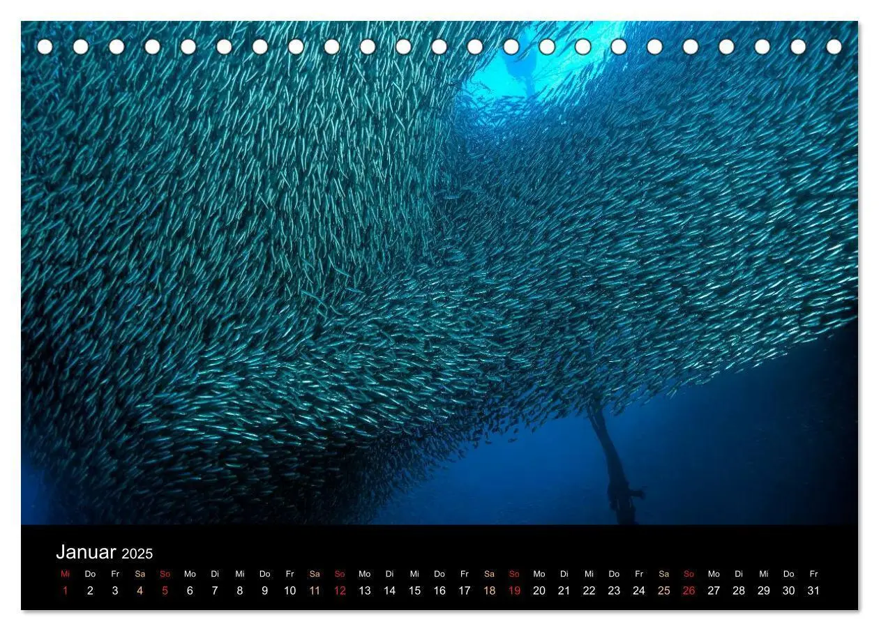 Bild: 9783435610617 | Fischschwärme (Tischkalender 2025 DIN A5 quer), CALVENDO...