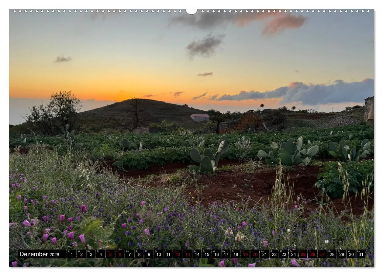 Bild: 9783457320617 | La Palma - Eine Reise über die La Isla Bonita (Wandkalender 2026...