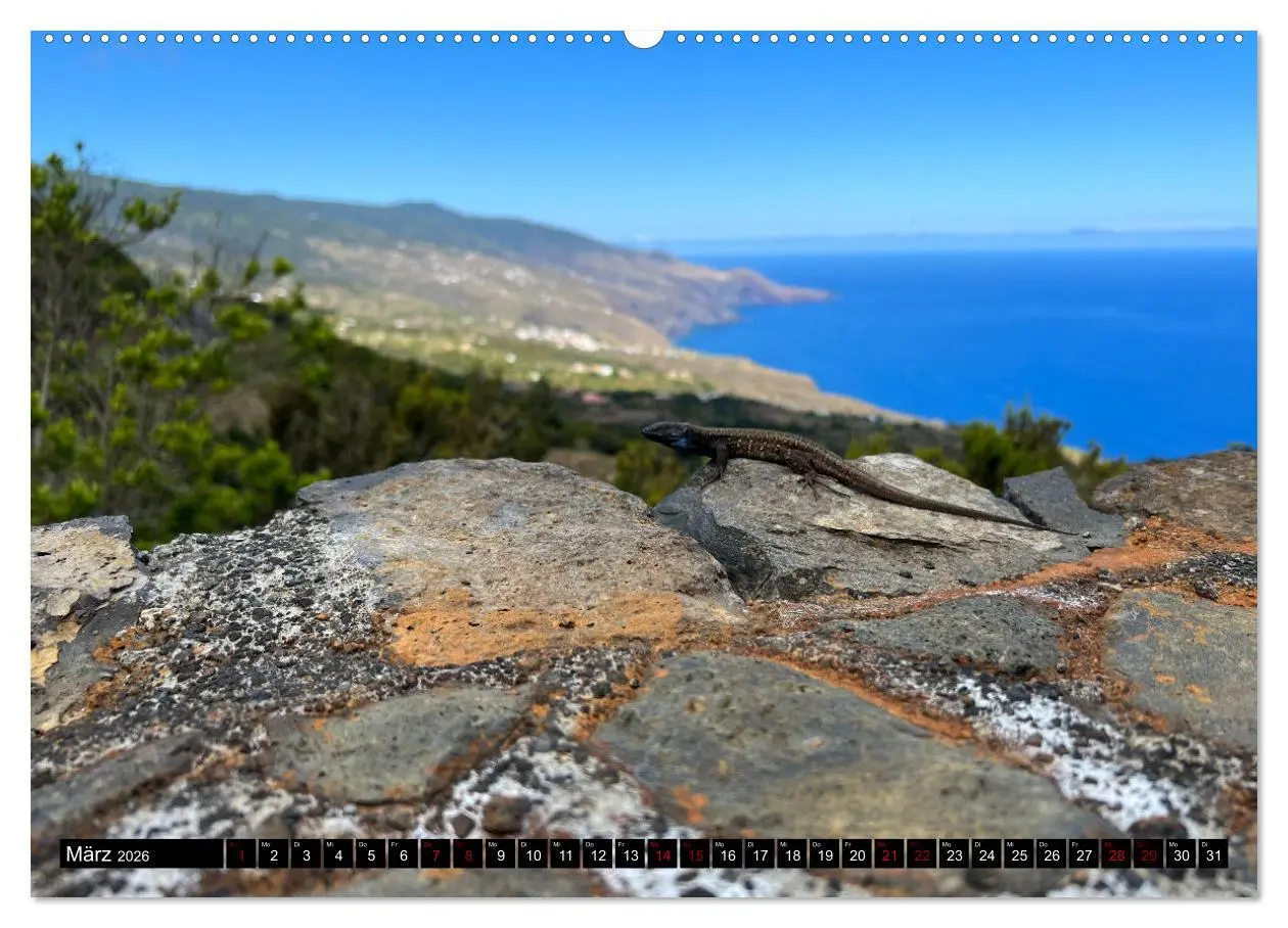 Bild: 9783457320617 | La Palma - Eine Reise über die La Isla Bonita (Wandkalender 2026...