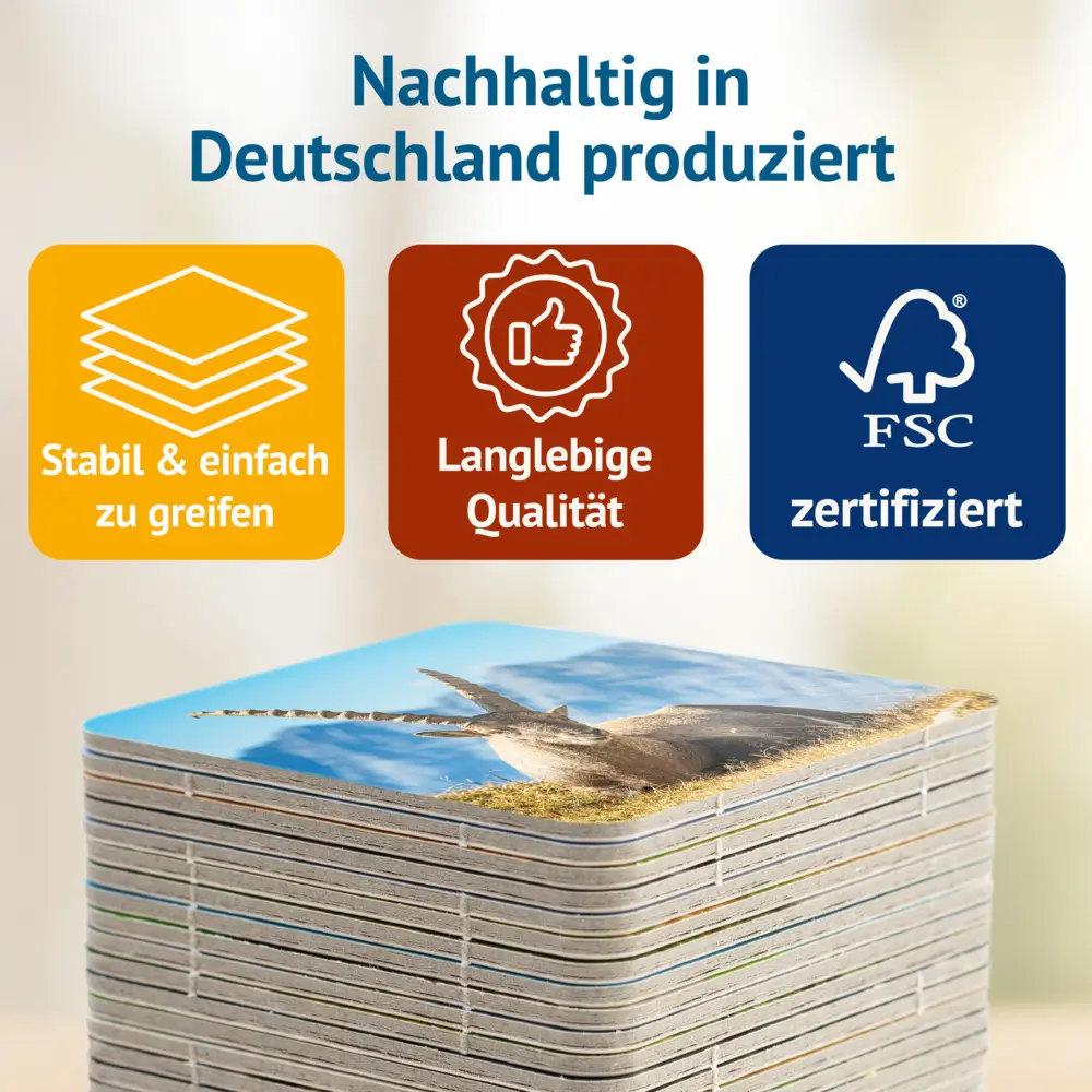 Bild: 4260472860717 | Berchtesgadener Land - Memospiel | Tanja Philippeit | Spiel | Deutsch