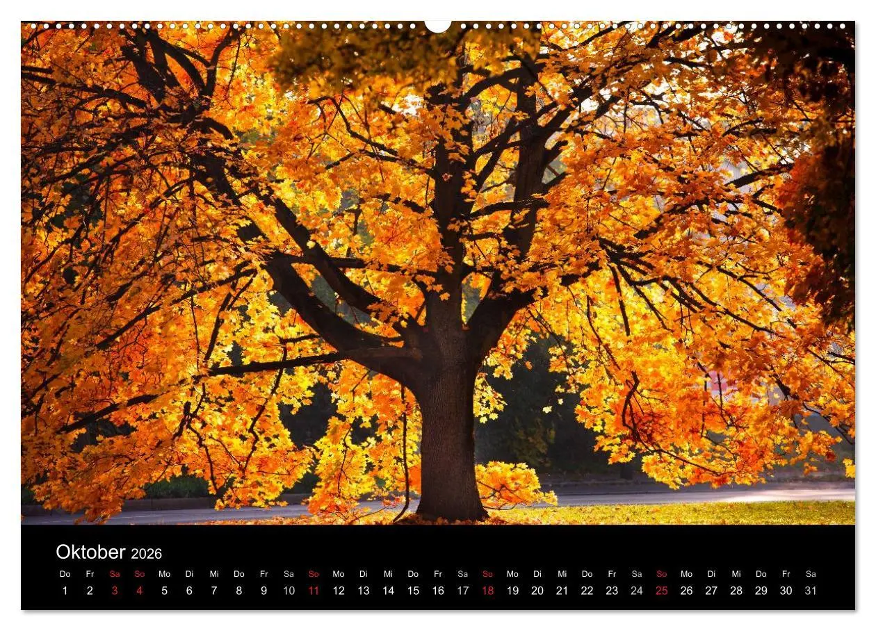 Bild: 9783516180817 | Farben der Natur (hochwertiger Premium Wandkalender 2026 DIN A2...