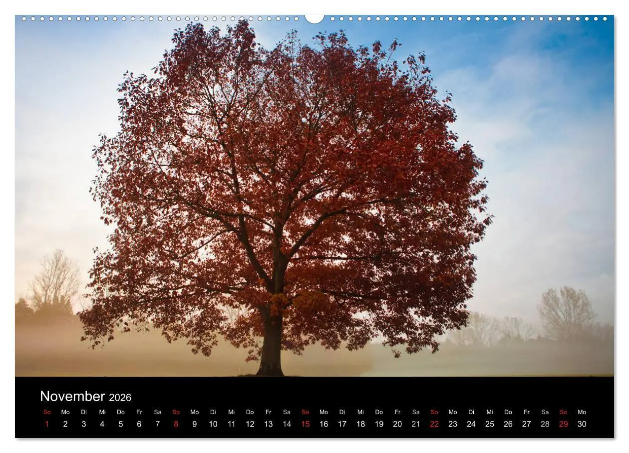 Bild: 9783516180817 | Farben der Natur (hochwertiger Premium Wandkalender 2026 DIN A2...