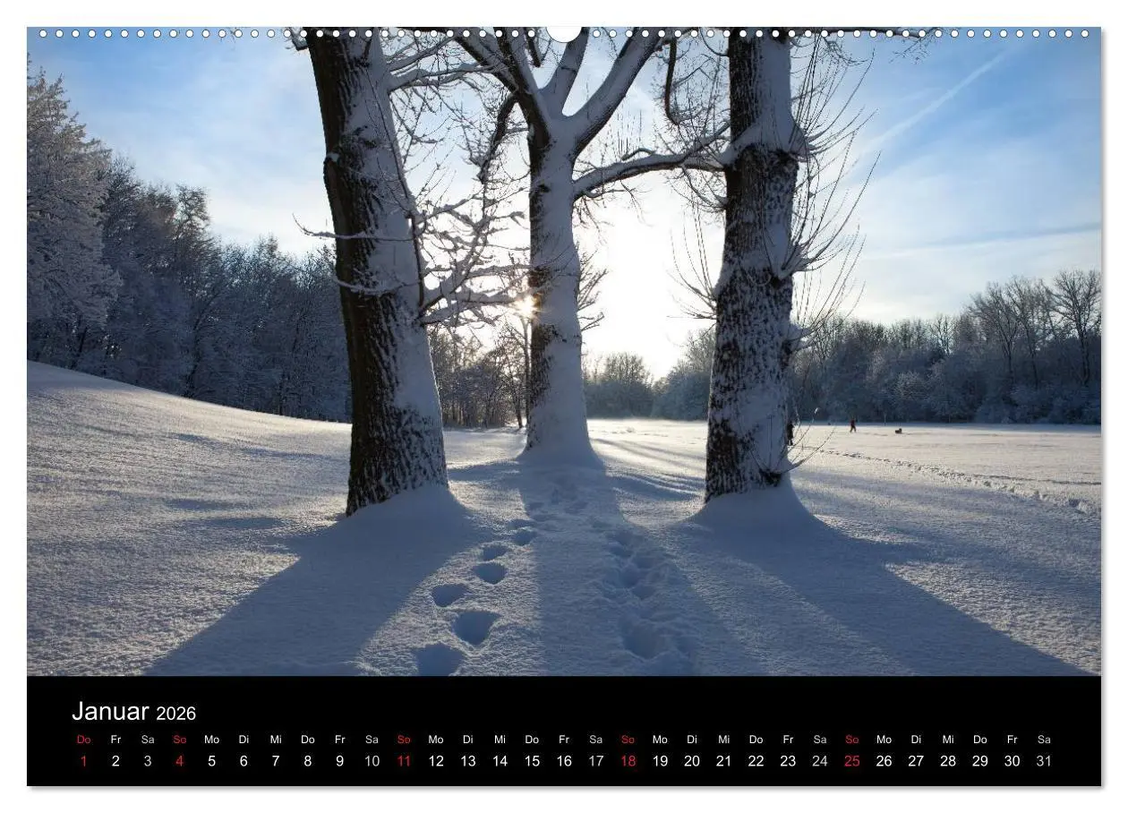 Bild: 9783516180817 | Farben der Natur (hochwertiger Premium Wandkalender 2026 DIN A2...