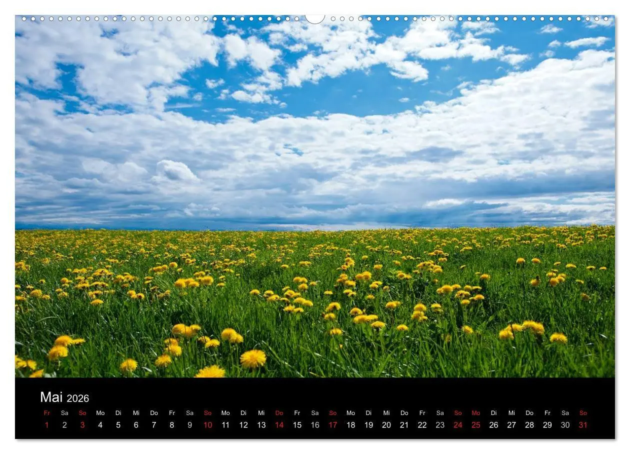 Bild: 9783516180817 | Farben der Natur (hochwertiger Premium Wandkalender 2026 DIN A2...