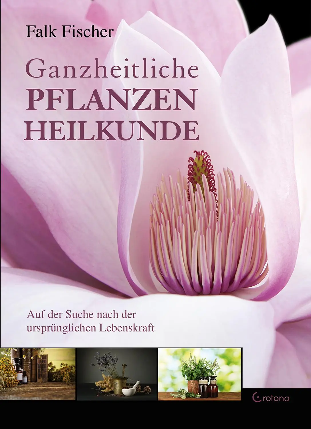 Cover: 9783861910817 | Ganzheitliche Pflanzenheilkunde | Falk Fischer | Buch | 224 S. | 2017