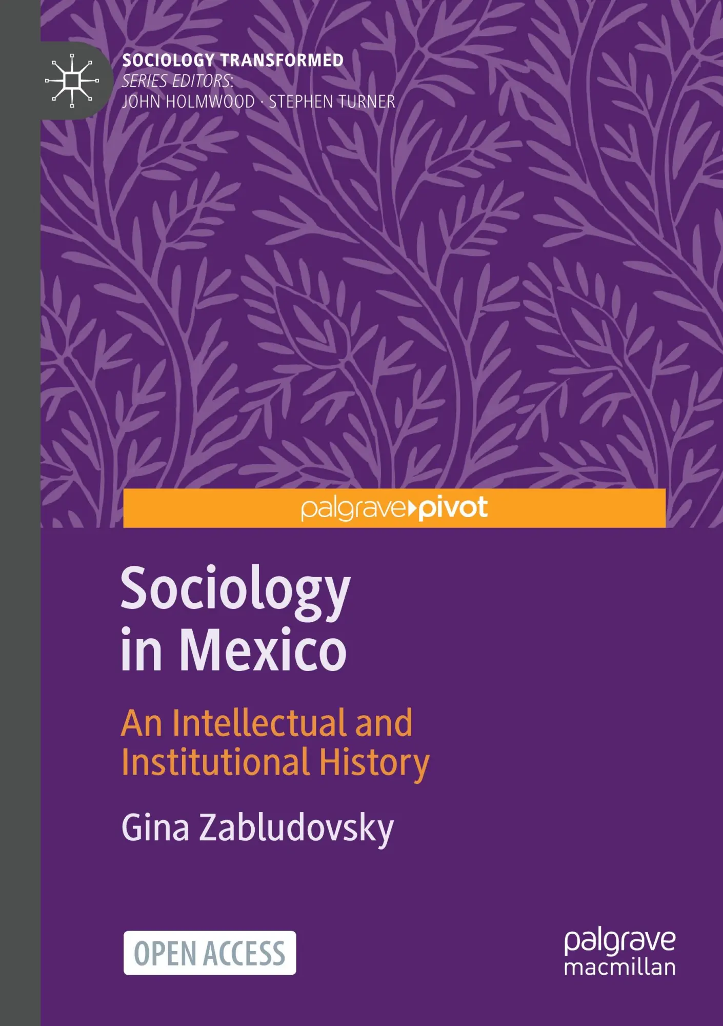 Sociology in Mexico: An Intellectual and Institutional History (Sociology Transformed)