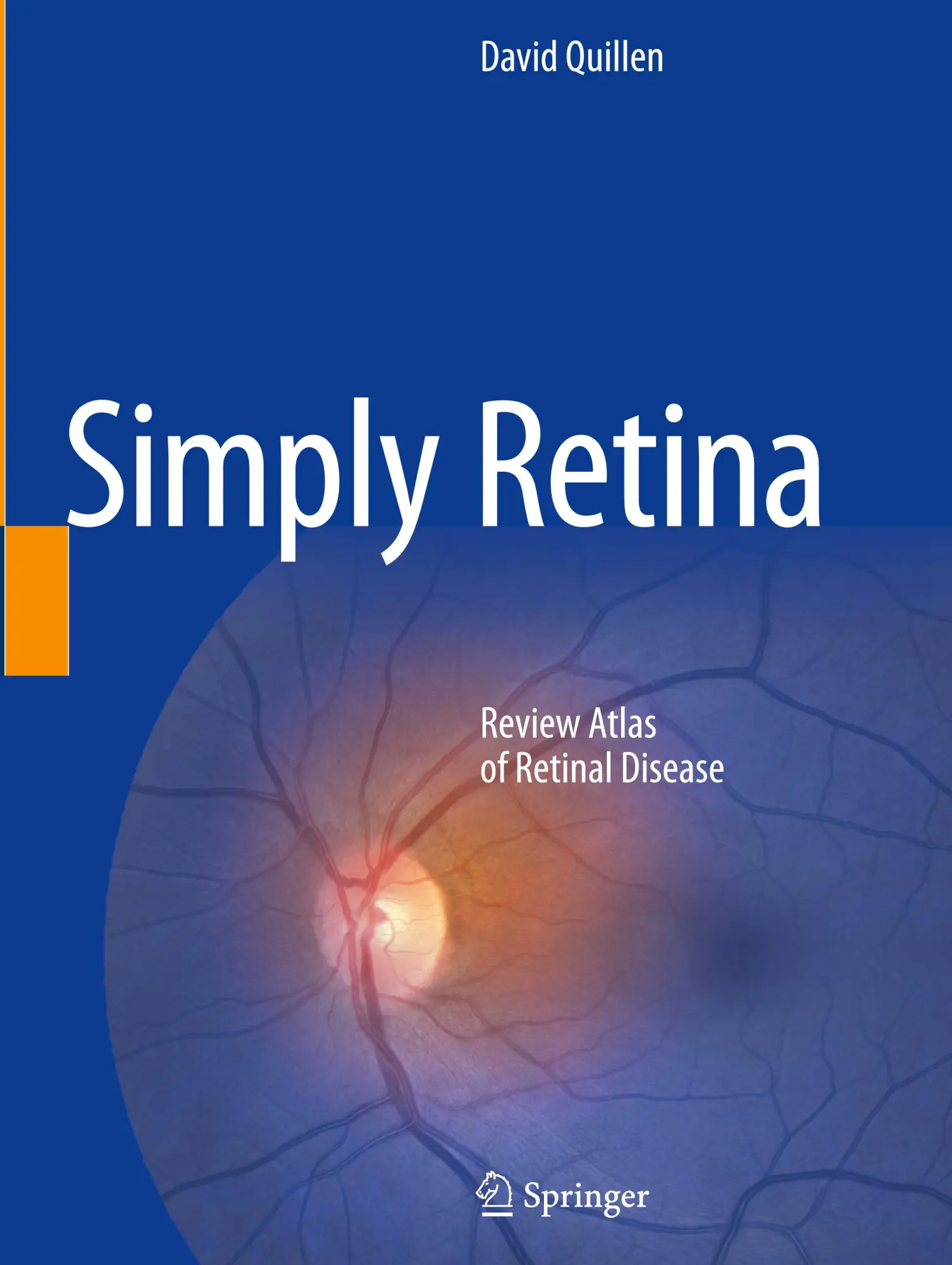 Cover: 9783031660917 | Simply Retina | Review Atlas of Retinal Disease | David Quillen | Buch