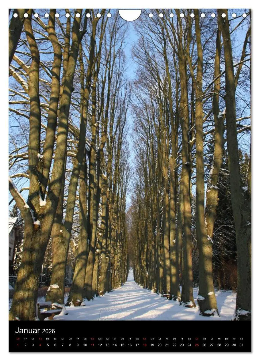 Bild: 9783516480917 | Spaziergang durch Bad Pyrmont (Wandkalender 2026 DIN A4 hoch),...