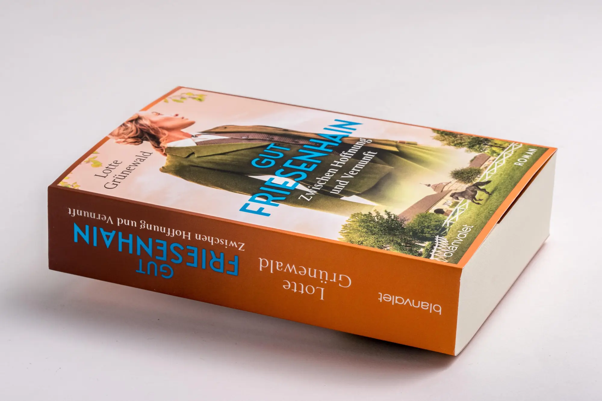 Bild: 9783734110917 | Gut Friesenhain 02 - Zwischen Hoffnung und Vernunft | Roman | Buch