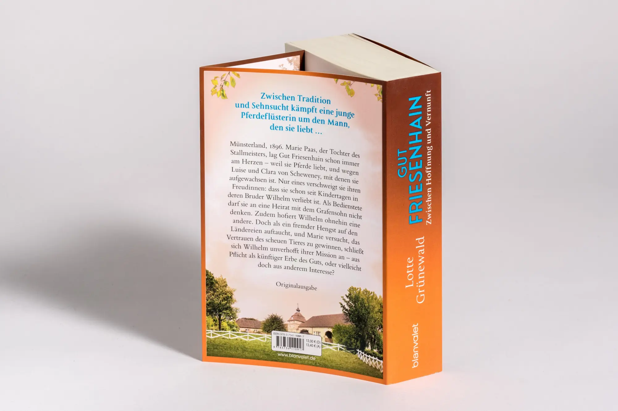 Bild: 9783734110917 | Gut Friesenhain 02 - Zwischen Hoffnung und Vernunft | Roman | Buch