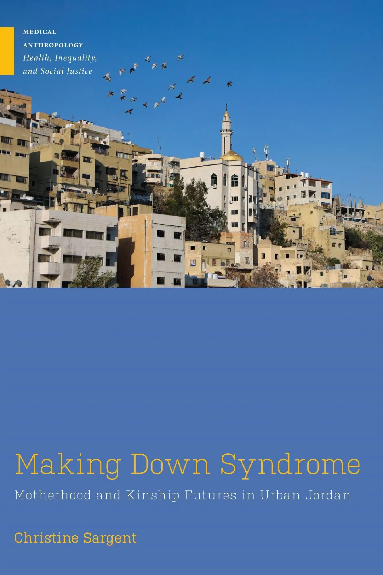 Cover: 9781978841017 | Making Down Syndrome | Motherhood and Kinship Futures in Urban Jordan