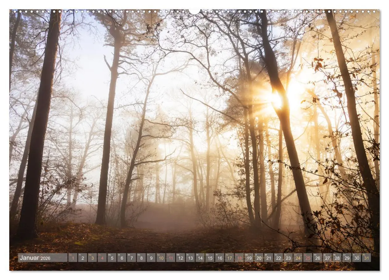 Bild: 9783457421017 | Naturparadies Pfälzerwald (hochwertiger Premium Wandkalender 2026...