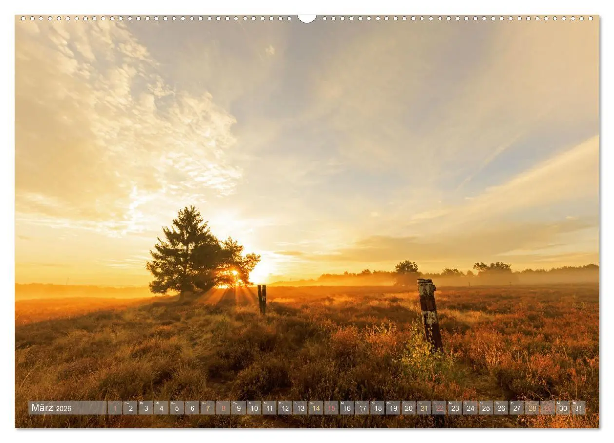 Bild: 9783457421017 | Naturparadies Pfälzerwald (hochwertiger Premium Wandkalender 2026...