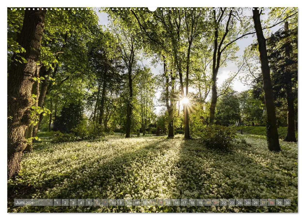 Bild: 9783457421017 | Naturparadies Pfälzerwald (hochwertiger Premium Wandkalender 2026...