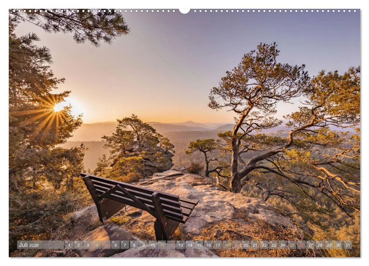 Bild: 9783457421017 | Naturparadies Pfälzerwald (hochwertiger Premium Wandkalender 2026...