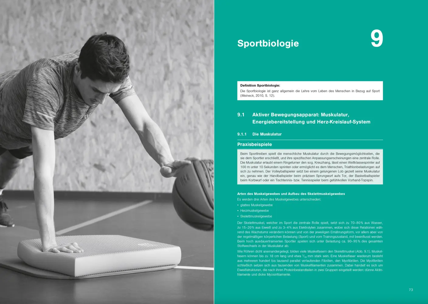 Bild: 9783964161017 | Fit im Schulsport | Optimales Sportwissen für das Sportprofil | Buch